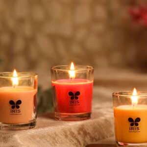 damask rose peach pomergranate& mango sorbet shot class candle